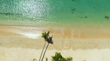 Aerial view of Tropical beach with palm trees. Pagudpud, Ilocos Norte Philippines