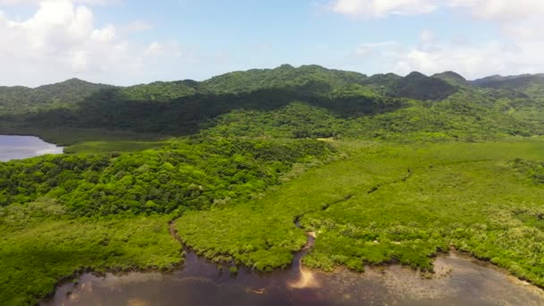 Tropical Island Jungle Tropical Vegetation Palaui Island Santa Ana Cagayan — Video Stock
