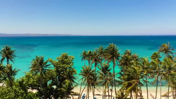 Tropical Beach Palm Trees Blue Ocean Pagudpud Ilocos Norte Philippines — Stockvideo