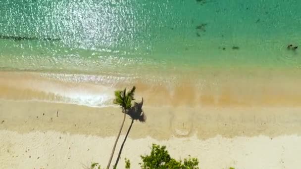 Aerial View Tropical Beach Palm Trees Pagudpud Ilocos Norte Philippines — Vídeo de stock