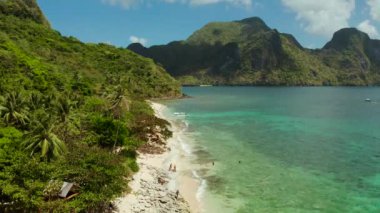 Palmiye ağaçları, mavi göl ve masmavi berrak suyla adanın tropikal plajı. El Nido, Palawan Filipinleri 'ndeki helikopter adası. Mavi lagün ve mercan resifli tropik bir manzara.