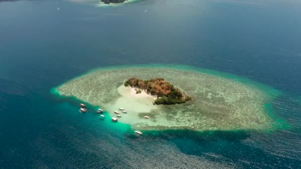 空中景観観光客は熱帯のビーチを楽しむ 砂のビーチCyc ヤシの木と熱帯の島 フィリピン パラワン 青いラグーン サンゴ礁と熱帯の風景 — ストック動画