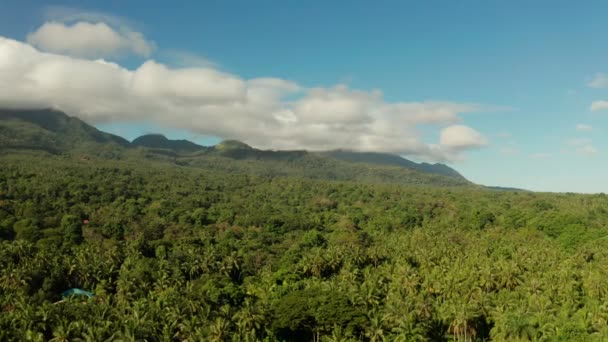 Krajobraz Górski Tropikalnej Wyspie Szczytami Górskimi Pokrytymi Lasem Góry Góry — Wideo stockowe