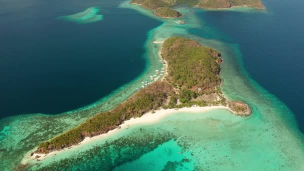 Εναέρια Άποψη Τροπικό Νησί Άμμο Λευκή Παραλία Φοίνικες Malcapuya Φιλιππίνες — Αρχείο Βίντεο