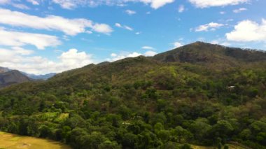 Aerial drone of Mountain landscape with mountain peaks covered with forest. Sri Lanka.