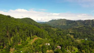 Agricultural lands and tea estates among the hills in the mountains.. Ella, Sri Lanka.