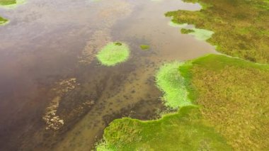 Swamps and lakes in the reserve, natural habitat of animals and birds. Sri Lanka.