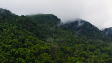 Aerial drone of Mountain landscape with mountain peaks covered with forest. Sri Lanka.