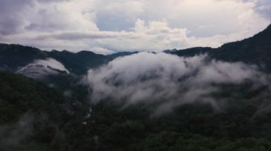 Mountains with forest covered with clouds and fogs at dusk.