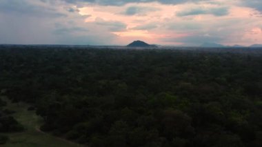 Sri Lanka milli parkındaki dağların arka planında, ormanın üzerinde gün batımının hava manzarası.