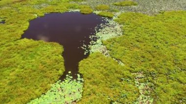 Aerial drone of Wetlands among the jungles in the national park of Sri Lanka.
