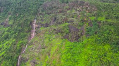 Aerial drone of waterfall in the mountains among tropical vegetation. Sri Lanka.