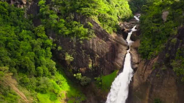 Красивый Водопад Зеленом Лесу Водопад Дунхинда Горных Джунглях Шри Ланки — стоковое видео