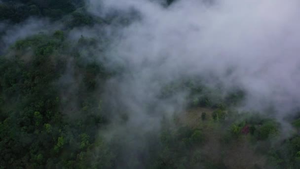 Aerial View Mountains Forests Covered Fog Clouds Dusk — Stockvideo