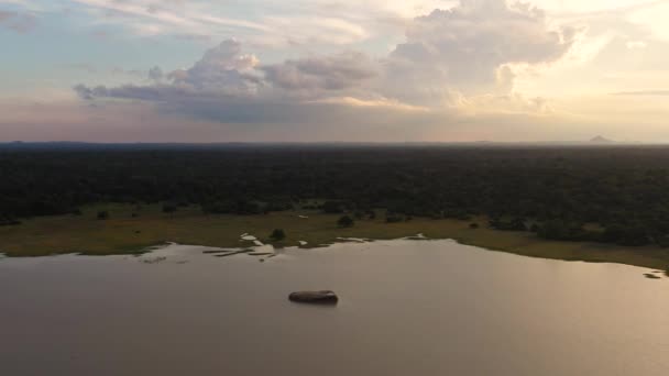 Aerial View Sunset Lake National Park Sri Lanka — Stockvideo
