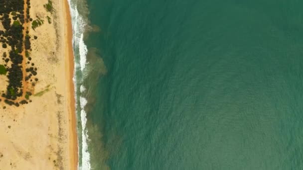 海の波と広い砂浜 スリランカ — ストック動画