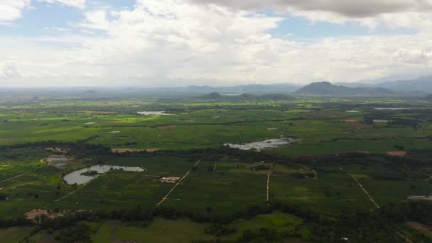 山の谷の熱帯植物の間の農地や水田の空中ビュー 田園風景 スリランカ — ストック動画