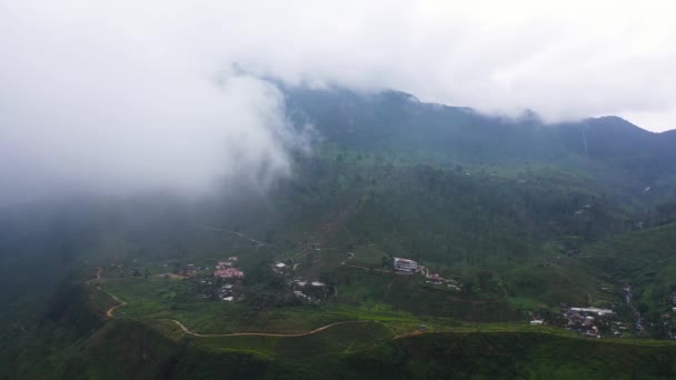Aerial View Tea Plantations Sri Lanka Mountain Landscape Tea Estate — Video Stock