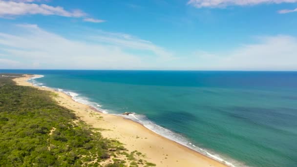 Прекрасний Пляж Бірюзовим Видом Води Згори Шрі Ланка Літо Подорожі — стокове відео