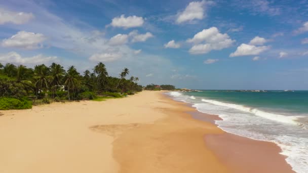 Aerial Seascape Tropical Sandy Beach Blue Ocean Lankavatara Sri Lanka — Vídeos de Stock