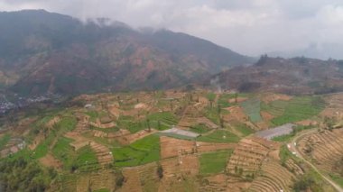 Dağlardaki tarlalar, ekinler, ağaçlar. Endonezya 'nın Java Dağı' ndaki hava manzaralı tarım arazileri. tropikal manzara