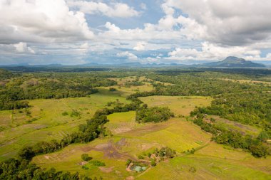 Top view of rice fields and agricultural land in a valley among mountains. Sri Lanka.