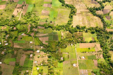 Agricultural land and rice fields in the countryside view from above. Sri Lanka.
