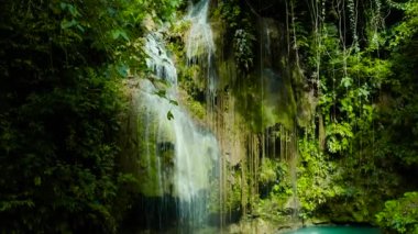 Cambais Şelaleleri 'nin tropikal ormandaki bir dağ geçidinde, Filipinler, Cebu' daki hava manzarası. Tropikal ormanda şelale.