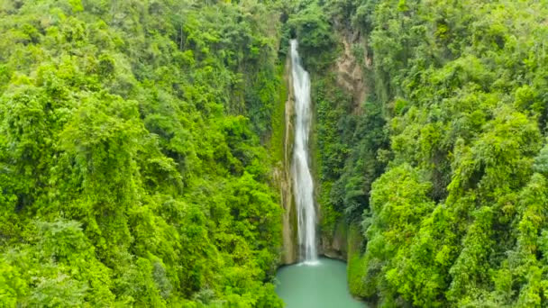 Cascada Caídas Mantayupan Bosque Profundo Dron Aéreo Cascada Selva Tropical — Vídeo de stock