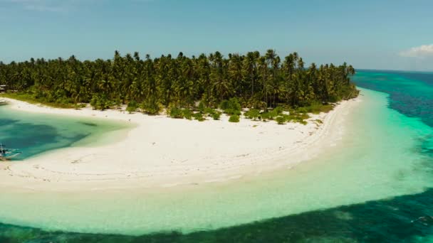 Güzel Plajı Palmiye Ağaçları Yukarıdan Turkuaz Manzaralı Tropik Bir Ada — Stok video