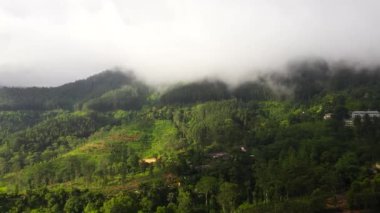 Yağmur ormanları ve tarım arazisi olan dağ yamaçları. Sri Lanka.