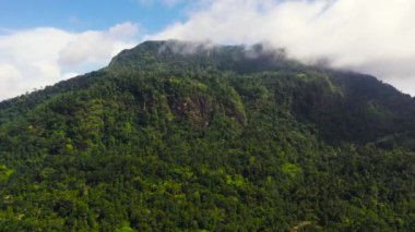Aerial view of Fresh green foliage, tropical plants and trees covers mountains and ravine. Sri Lanka.