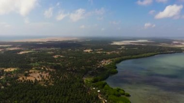 Top view of Coastline of Kalpitiya peninsula with palm trees Sri Lanka.