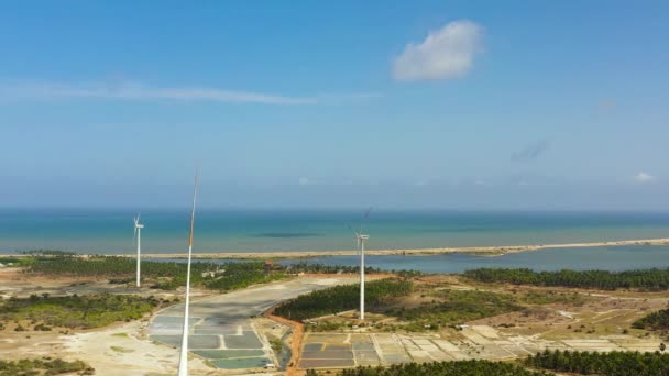 Wind Generators Turbines Wind Farm Mills Wind Power Plant Kalpitiya — Stok video