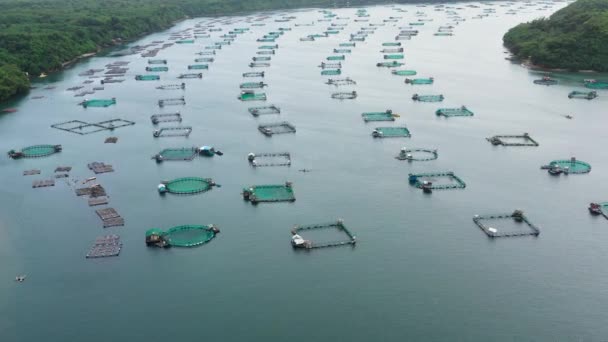 필리핀 물고기 위시야 양어장을 공중에서 양어장 양식업 — 비디오