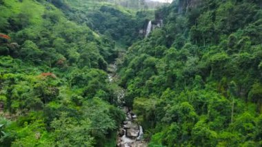 A tropical waterfall in the jungles Ramboda Falls in green forest. Sri Lanka.