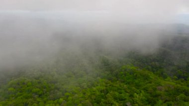 The rainy clouds covered the top of green forest mountain, view from above. Bohol, Philippines.