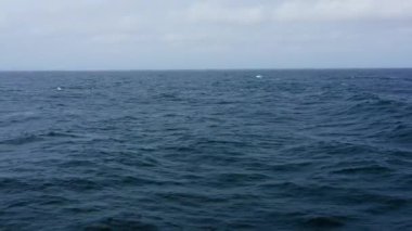 Blue sea and sky with clouds. Skyline on the sea. Open Sea with copy space and blue water.