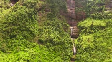 Waterfall on a mountainside among tropical vegetation. Maskeliya, Sri Lanka.
