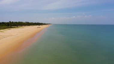 Top view of a beautiful sandy beach and ocean with waves. Sri Lanka.