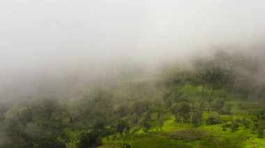 Aerial view of Houses and village among tea plantations in clouds and fog. Sri Lanka.