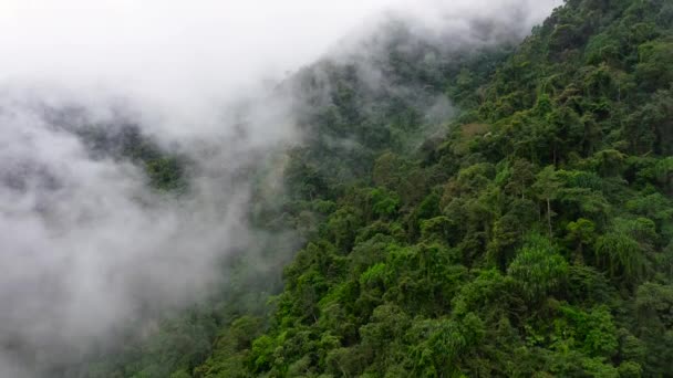 Cordillère Sur Île Luçon Philippines Vue Aérienne Forêt Tropicale Sommet — Video
