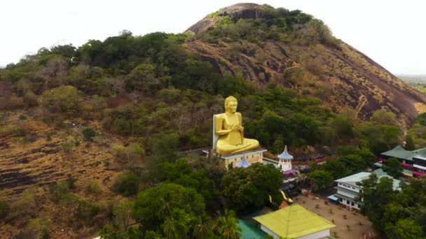 Aerial View Buddha Statue Hill Slope Sri Lanka — Video