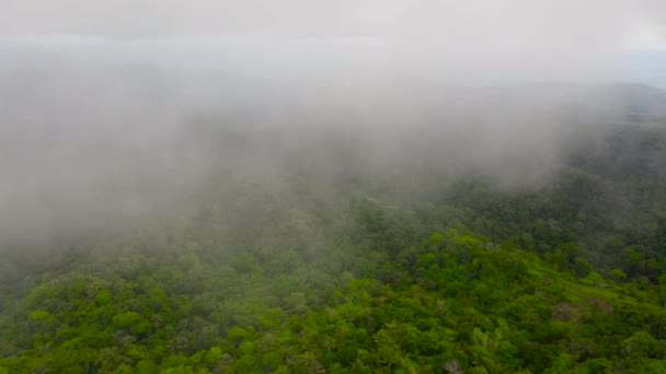 Rainy Clouds Covered Top Green Forest Mountain View Bohol Philippines — Stock video