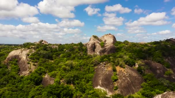Rocks Rainforest Jungle Blue Sky Clouds Sri Lanka Okanda — Αρχείο Βίντεο