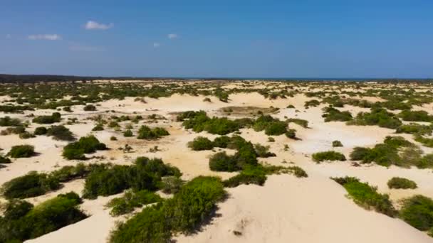 Sand Hills Dunes Shrubs Ocean Manalkaadu Sand Hills Sri Lanka — Stok video