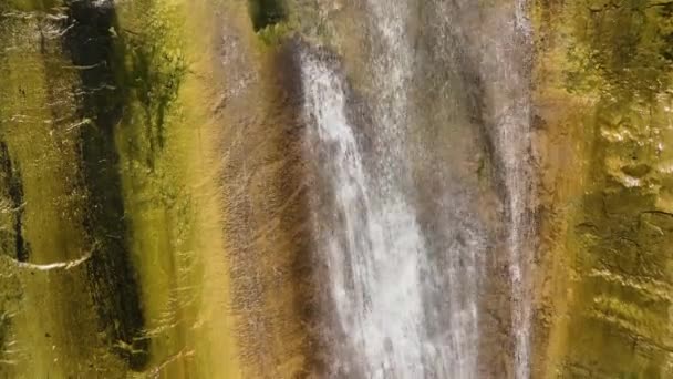 スローモーションで緑の森の中の滝 ダオ滝 フィリピンのセブ — ストック動画