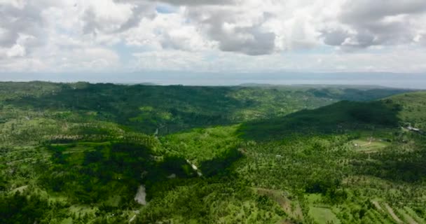 Agricultural Land Mountains Green Forest Cebu Island Philippines — Vídeo de stock