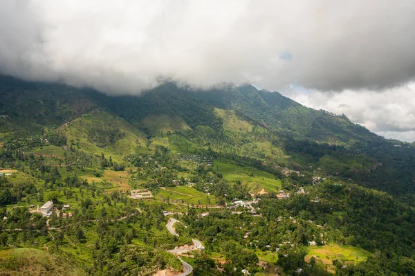 Sri Lanka 'da çay evi. Yüksek dağ çay tarlası..