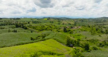 Plantations of sugar cane and agricultural land on the slopes of the hills. Negros, Philippines